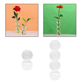 2pcs Nordic Style Glass Bubble Flower Vase Glass Planter for Bedroom Room
