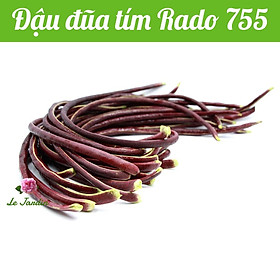 Hạt giống Đậu Đũa Tím Rado 755 gói 10gr - Trồng quanh năm
