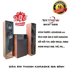 Mua Dàn Karaoke Gia Đình SKN-325 Âm Thanh Khủng Kết Nối Tivi   Smartphone - Hàng Chính Hãng SKYNEW