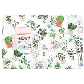 Bộ 45 Sticker Cây Cảnh E116