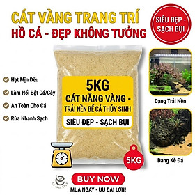 Cát Nắng Vàng 5KG Đủ Size - Trải Nền, Làm Thác Trang Trí Bể Cá Thủy Sinh
