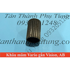 Khâu Mâm Vario gắn dành cho Vision, AB