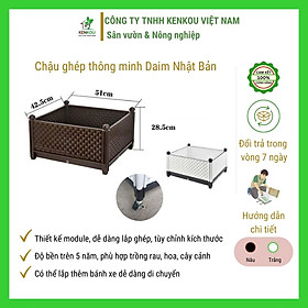 Chậu ghép trồng cây thông minh Nhật - Việt, trồng trồng rau, hoa, cây cảnh