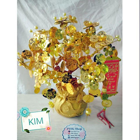 Cây kim tiền tài lộc 7 nhánh hoa mai đồng tiền cao cấp