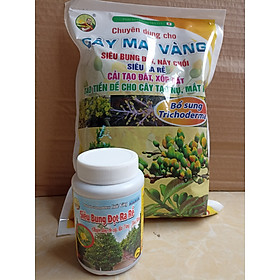Mua Combo chăm sóc mai vàng sau khi ra hoa ( 1 kg gói phân bón gốc+ 1 chai 100ml phun bung đọt  ra rễ)
