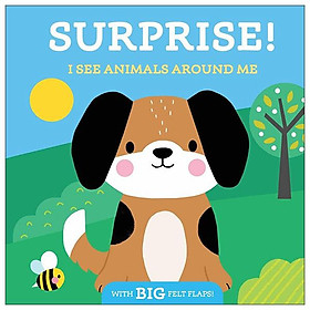 Sách ngoại văn: Surprise! I See Animals Around Me - Simon and Schuster