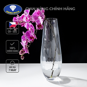 Mua Lọ Hoa Crystalex PHA LÊ TIỆP BOHEMIA Bình Hoa Đẹp Dùng Trang Trí Phòng  Cắm Hoa  Quà Tặng Cao 34cm PTL00106