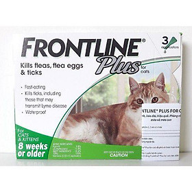 Nhỏ gáy Frontline cho mèo