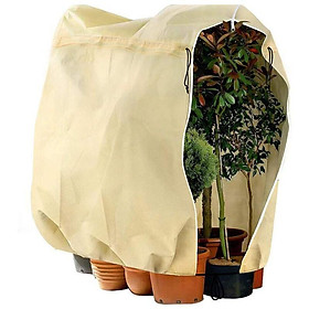 Bộ 2 túi bảo vệ mùa đông cho thực vật - Bảo vệ gel - Bảo vệ lạnh - Bảo vệ mùa đông - Túi thực vật Pot - 100 x 80 cm - màu be