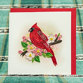 Thiệp Giấy Xoắn Chủ Đề Chim - NCC-B1506