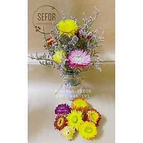 Mua Lọ hoa bất tử mix sao đuôi công ️lọ hoa khô decor