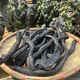 Nhục Thung Dung Sấy Dẻo 100g Loại 1