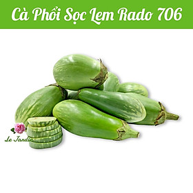 Mua Hạt giống cà phổi Rado 706 gói 0 5gr - DỄ TRỒNG