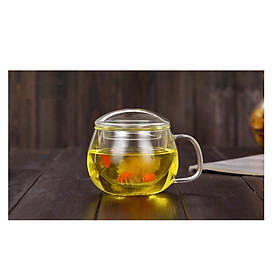 Cốc pha trà thủy tinh zeno CLL02 - 300ml