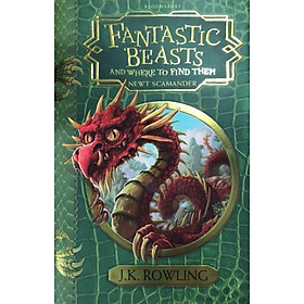 Fantastic Beasts And Where To Find Them: Hogwarts Library Book