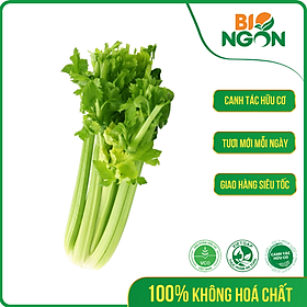 Chỉ Giao HCM - Cần Tây 400-500g cây