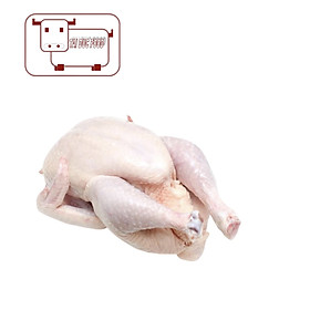 Gà Dai NC HQ size 1.1-1.4kg Whole Hen Chicken