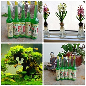 Mua Dung Dịch Thuỷ Canh Chuyên Dùng Cho Hoa Cây Cảnh