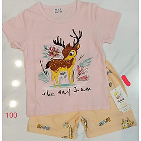 Bộ quần áo cotton xuất hàn 22-24kg cho bé trai bé gái