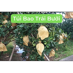 [30x35] 100 Túi Bao Trái Bưởi Đủ Size, Bưởi Da Xanh, Bưởi Diễn, Bao Trái Giấy 2 Lớp Bảo Vệ