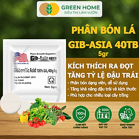 Mua Phân Bón Lá GA3 Greenhome  40TB  Viên 5gr  Dạng Sủi Tiết Kiệm  Thúc Đẩy Ra Đọt  Bông Lớn  Trái To