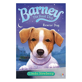 Usborne Young Fiction Barney the Boat Dog: Rescue Dog