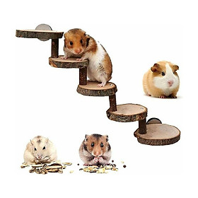 Đồ chơi leo núi cho hamster, thang hamster, thang gỗ nhai cầu đồ chơi đồ chơi, đồ chơi bằng gỗ cho chuột đồng, chuột đồng, chuột, gerbilles, chuột, sóc, lợn guinea, vẹt