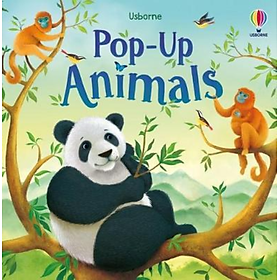 Hình ảnh Sách tương tác tiếng Anh - Pop-up Animals