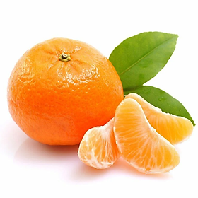 [Chỉ giao HN] -Quýt GAYPAK - 1kg