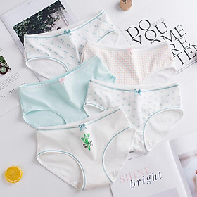 Quần Lót Nữ Cotton Kháng Khuẩn Cây Xương Rồng Xuất Hàn  Hàng Loại Đẹp.