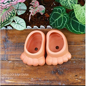 Chậu Đôi Bàn Chân - Chậu Đất Nung Trồng Sen Đá