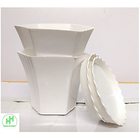 2 Combo Chậu nhựa Lục giác  Sen đá 100x80x60 + đĩa lót chậu 85x10 , trồng cây mini, xương rồng, cây để bàn, sen đá