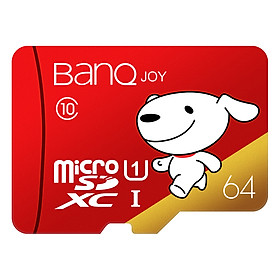Thẻ Nhớ BANQ