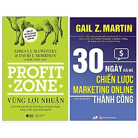 Combo 2 cuốn kinh tế marketing hay: Vùng Lợi Nhuận + 30 Ngày Giải Mã Chiến Lược Marketing Online Thành Công