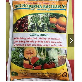 Mua Chế phẩm Trichoderma bacilus- gói 1kg