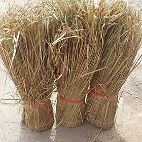 Mua Cỏ tranh trang trí tết cao 1m x dài 5m80 cho nhà hàng quán ăn gia đình