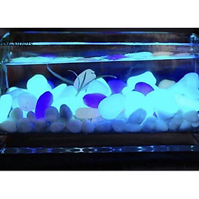 Mua Sỏi Dạ Quang Hộp 100G