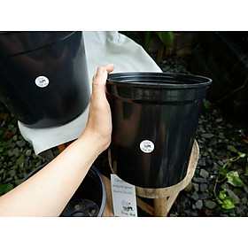 Chậu nhựa đen 14 x 15cm thoát nước tốt, chống bể vỡ, dễ lắp trụ rêu trồng cây