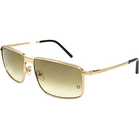 Kính mát Mont Blanc MB319S