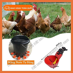 Combo 6 máng uống tự động màu đỏ cho gà vịt-núm uống tự động