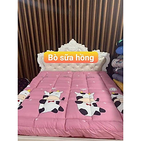 TẤM TOPPER TIÊU CHUẨN 5 SAO TOPPER TẤM LÀM MỀM ĐỆM 2 trong 1 trải giường hoặc trải sàn dùng trực tiếp NHIỀU MẪU