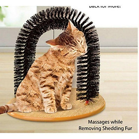 bàn cào vòm massage cho mèo