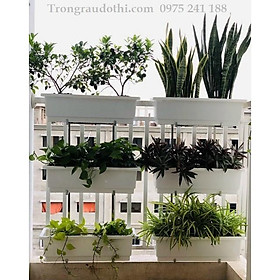 Mua Combo 2 Bộ Giá Kệ 3 Tầng Trồng Cây Ban Công Kèm Chậu Tiện Dụng Tuyệt Vời (Kệ cao 1.2m  chậu 67x24 cao 20cm