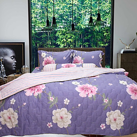 Bộ ga gối 4 món cotton Hàn Julia 264BK18