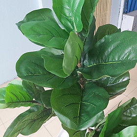 Cây bàng Singapore giả giống thật 99% - 3 nhánh - Cao 100 cm – Cây giả, hoa lụa decor trang trí rẻ, bền, đẹp