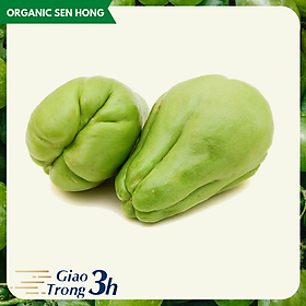 Su su 1kg - Giao nhanh 3h