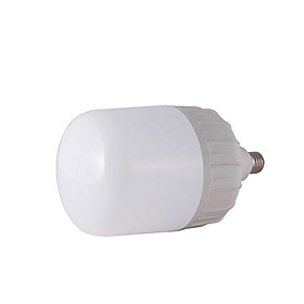 Bóng đèn led bulb trụ rạng đông model: led tr120n1 40w ss