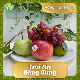 CÚNG - NGŨ PHÚC 5 (Hàng tươi đẹp)