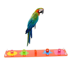 Bird   Toys   Pattern   Separation   Parrot   Puzzle   Training   Intellectual