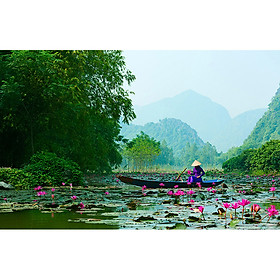 Tranh dán tường 3d hoa sen 126